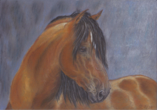 Hengst "Pura Raza Espanola", Pastell, 29,7 x 21 cm