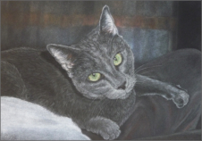 "Prinz" Tamino, Pastell, ca. 42 x 30 cm (Auftragsarbeit)