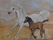 Galopp in der Wueste, Pastell, ca. 40 x 30 cm, verkauft nach Kuwait